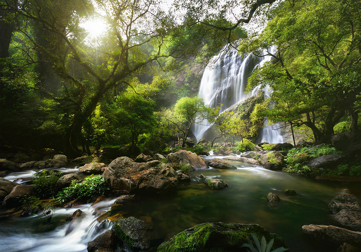 Mountain Stream Affiche