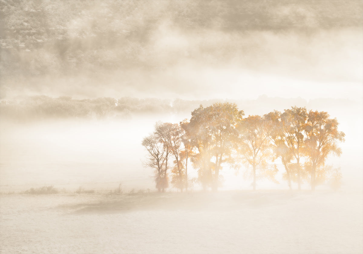 Autumn Dreams Plakat