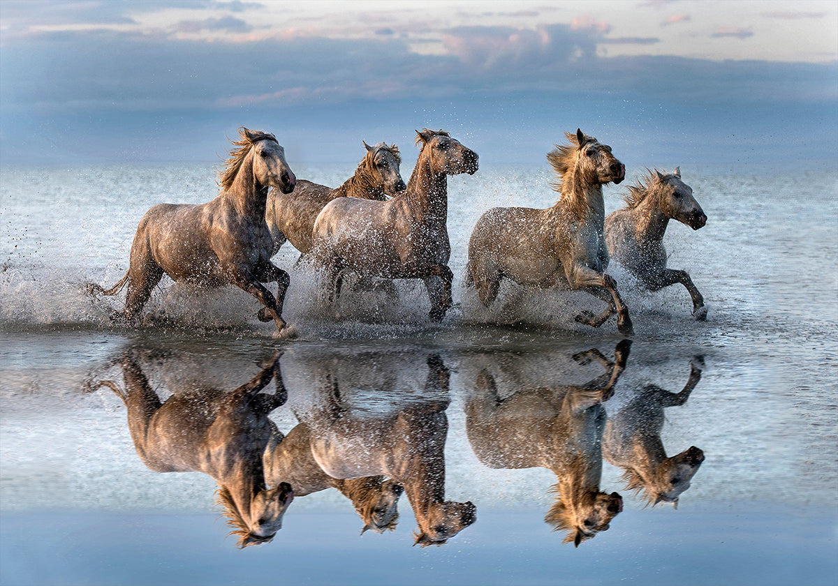 Päerd a Reflexioun