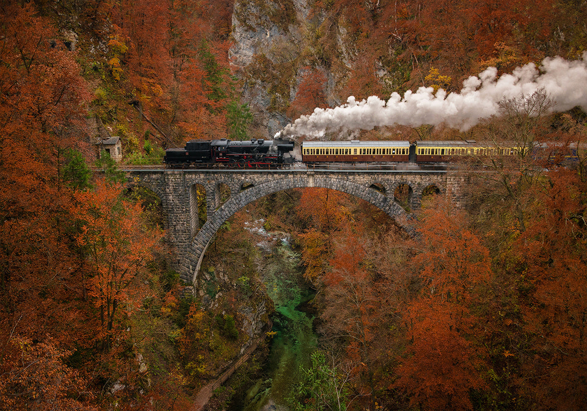 Museum train Poster