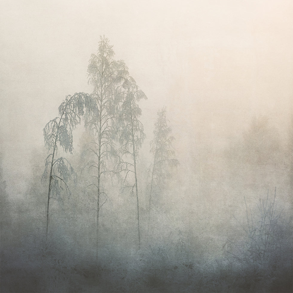 Silent Landscape Poster