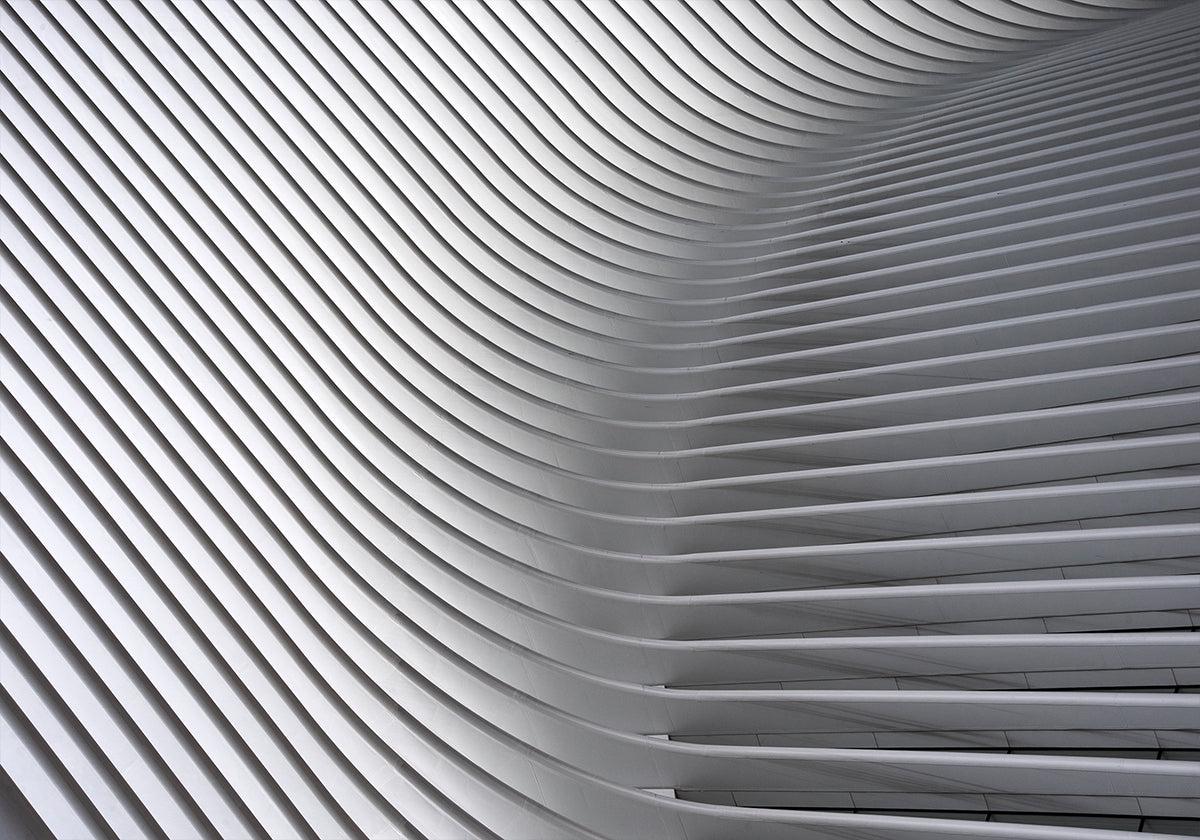 Calatrava Curves #2 Plakāts