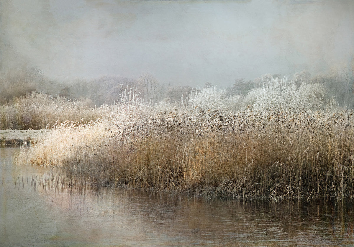 Winter Morning Poster