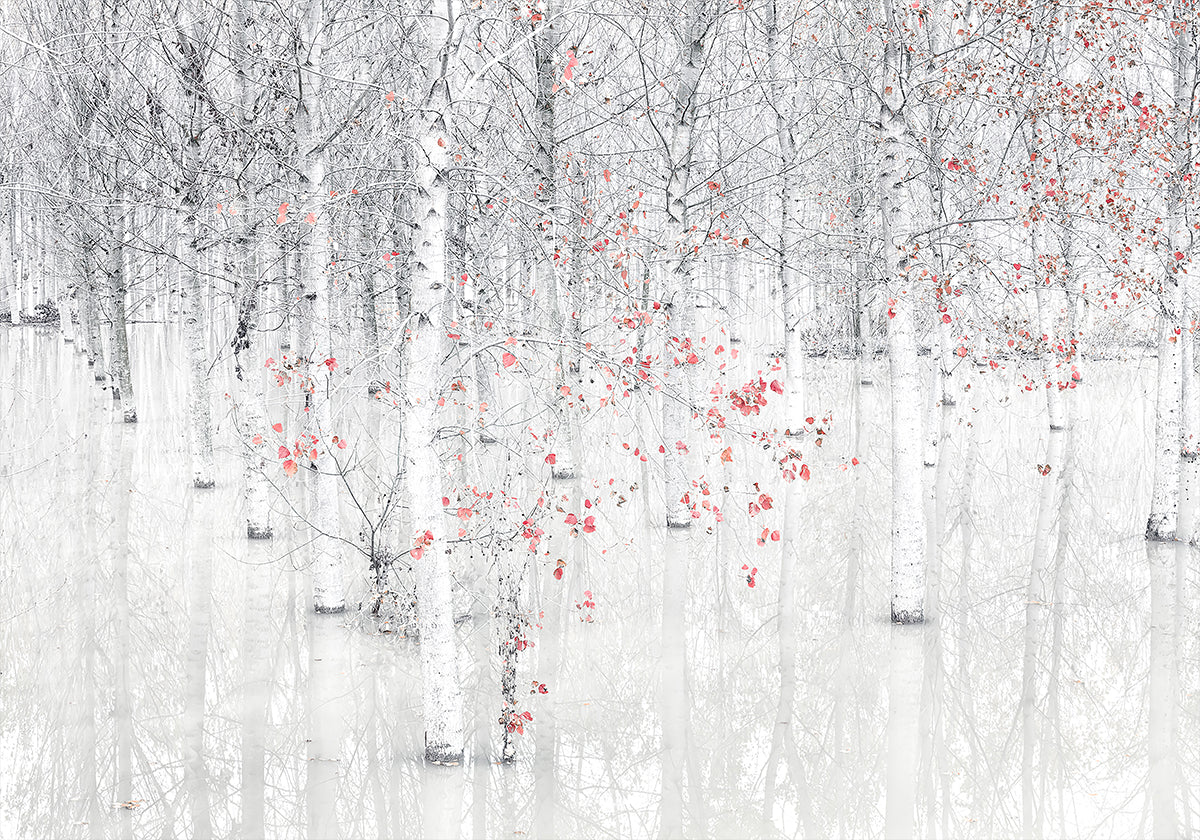 Sarkanbalts plakāts