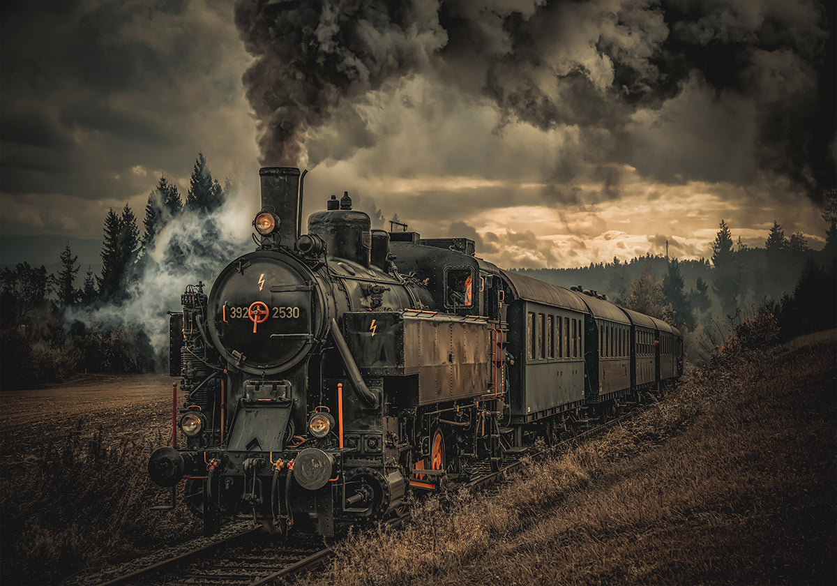 Gold digger train Poster