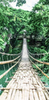 Bamboo Hanging Bridge Plakat - Posterbox.no