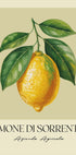 Limone Di Sorrento (NEW) - Posterbox