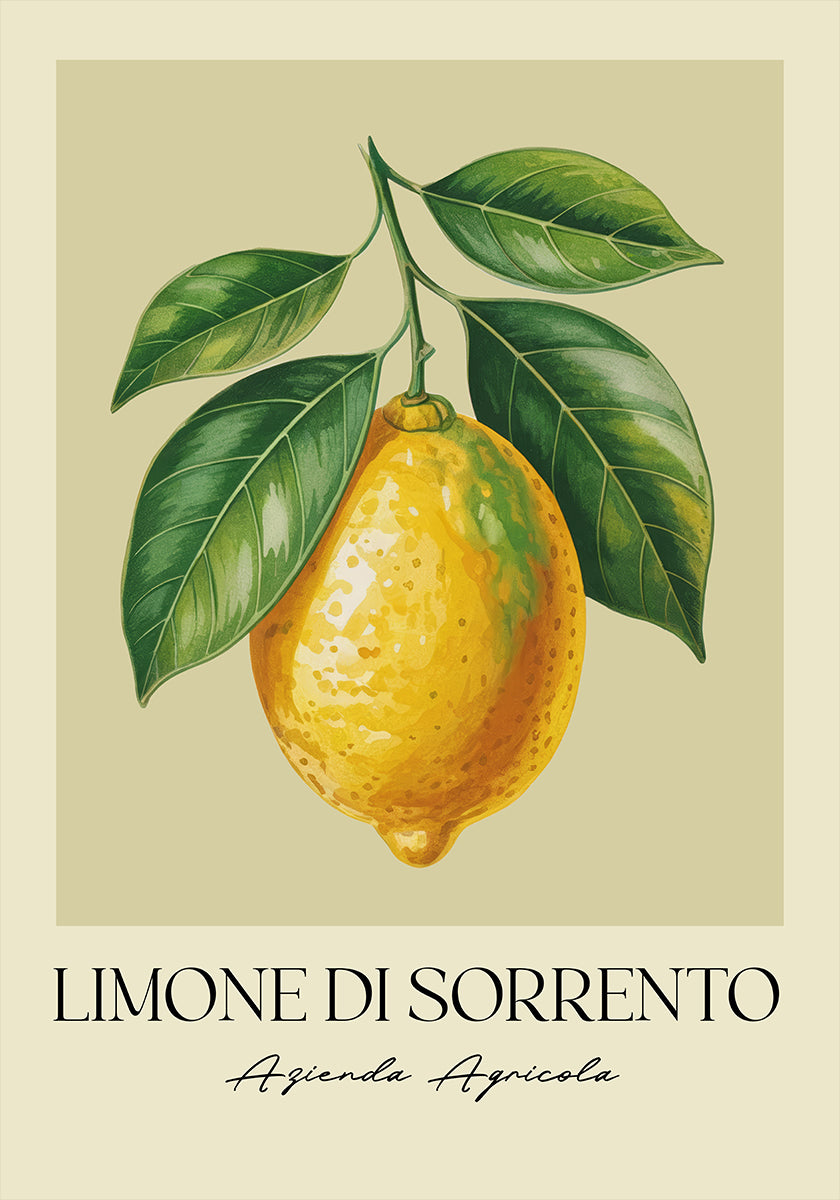 Limone Di Sorrento (NEW) - Posterbox