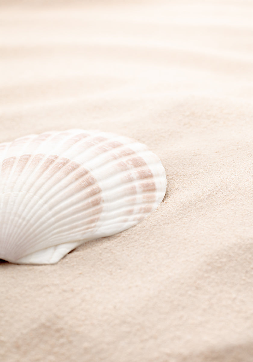 Shell_3 plakatas