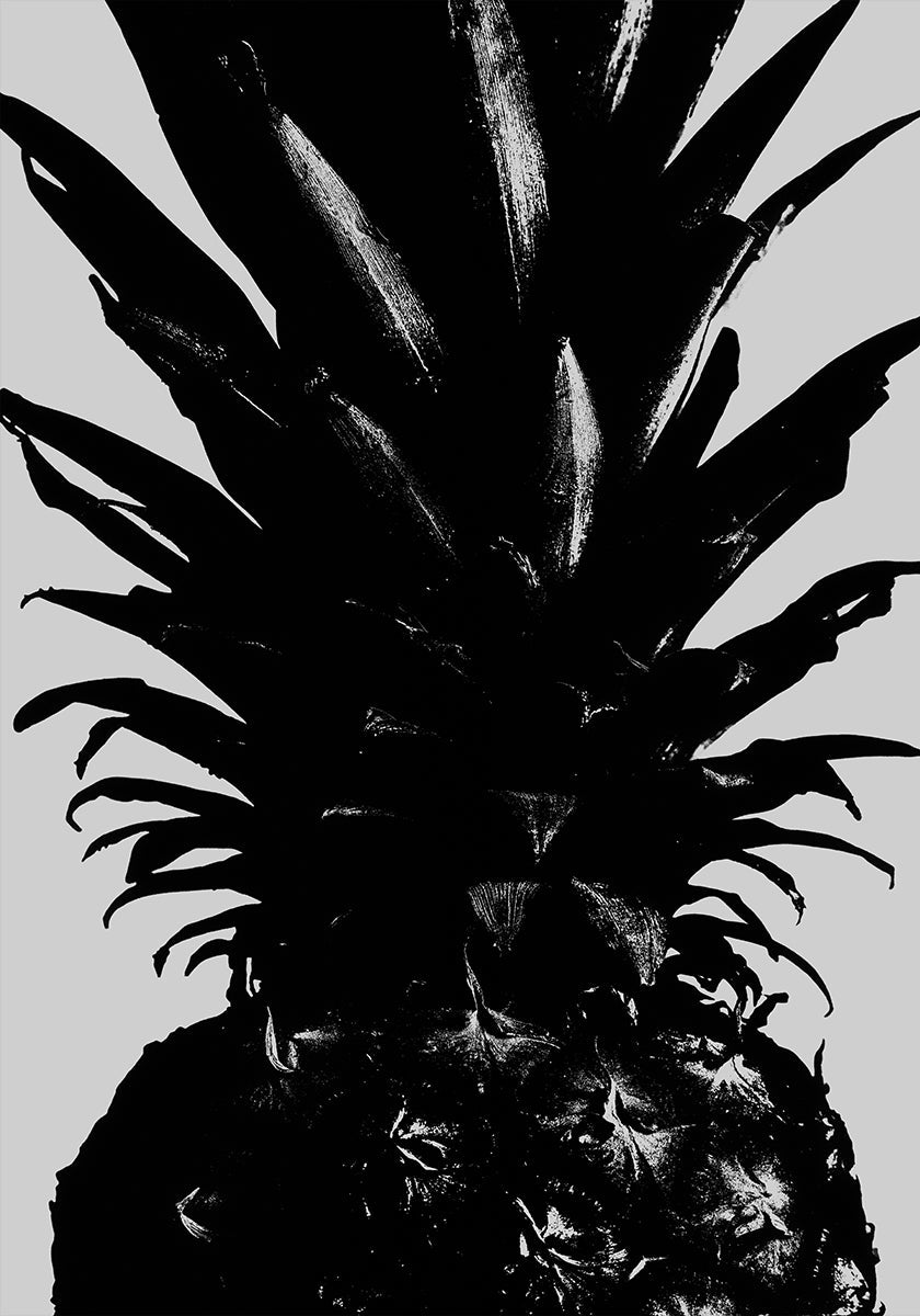 Ananāss bw