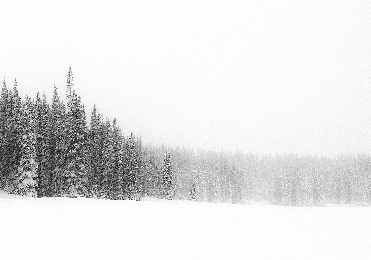 Erdő a fákért plakát