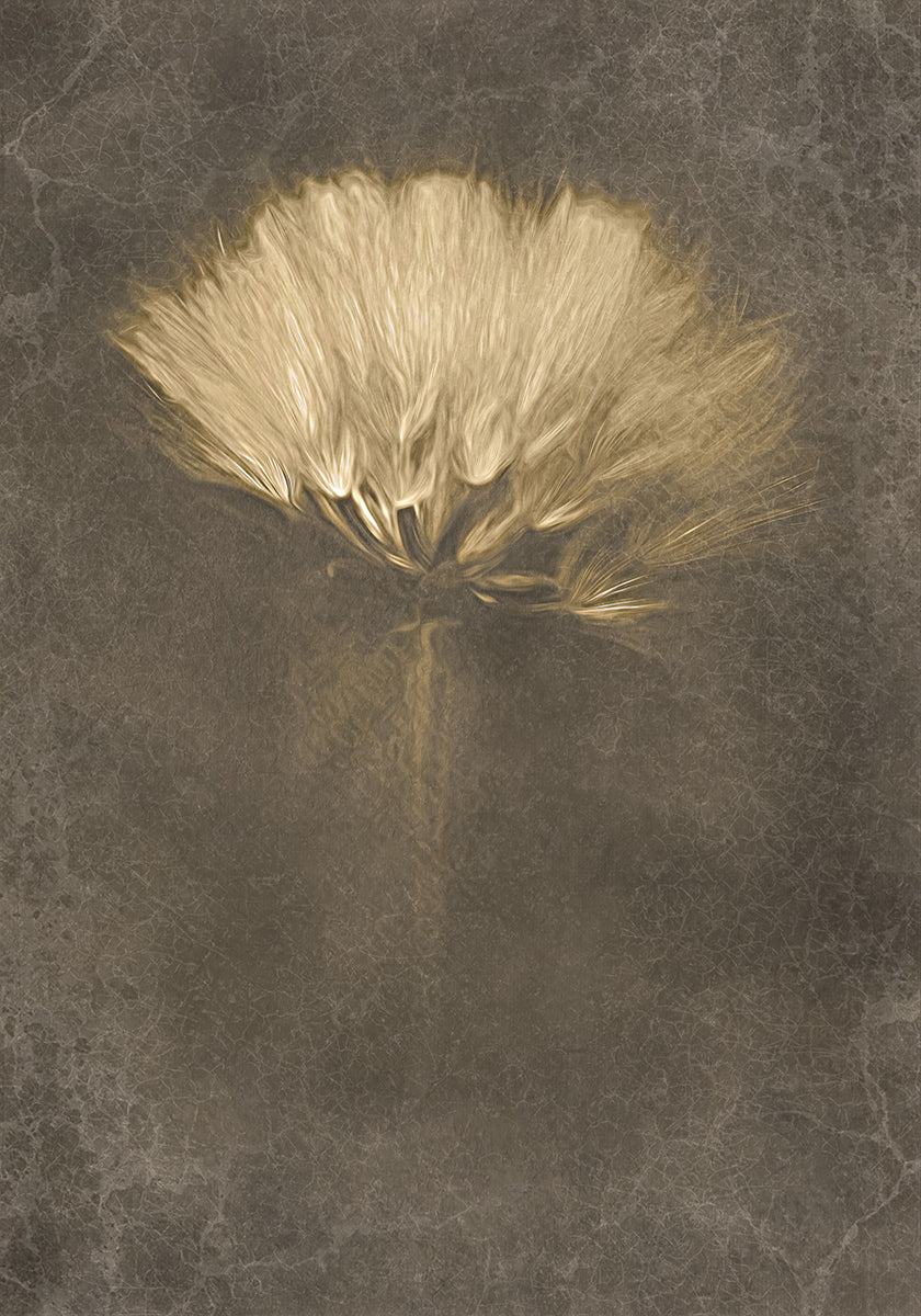 Mysteriéis Deeg Affiche