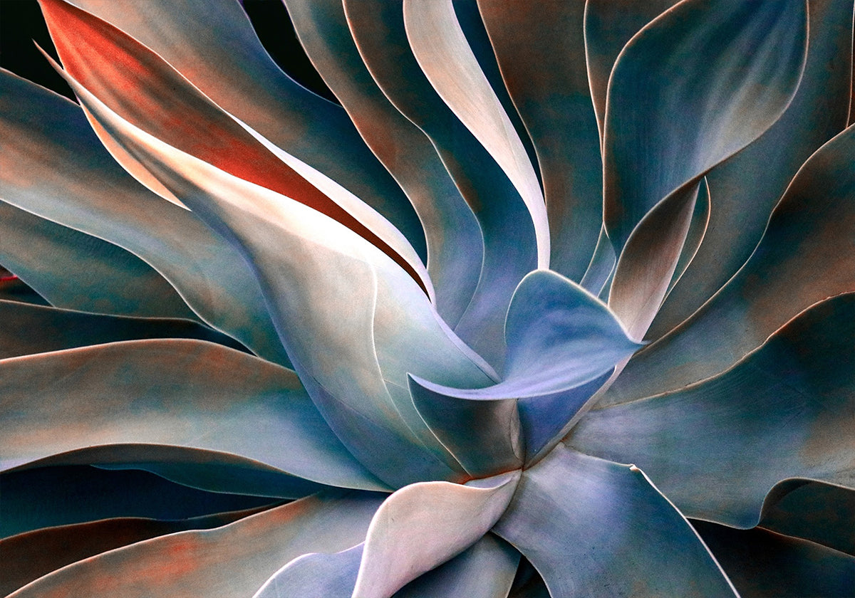 Värvid lehtedes Plakat