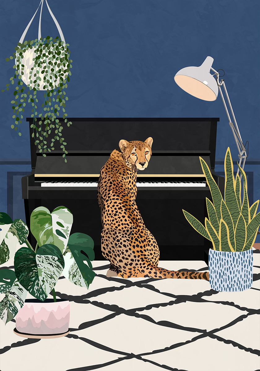 Gepard spillt Piano Poster