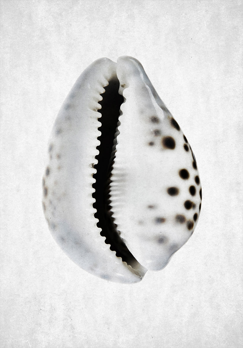 Frühlingsflut