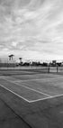 Tennis Court B&W Plakat - Posterbox.no