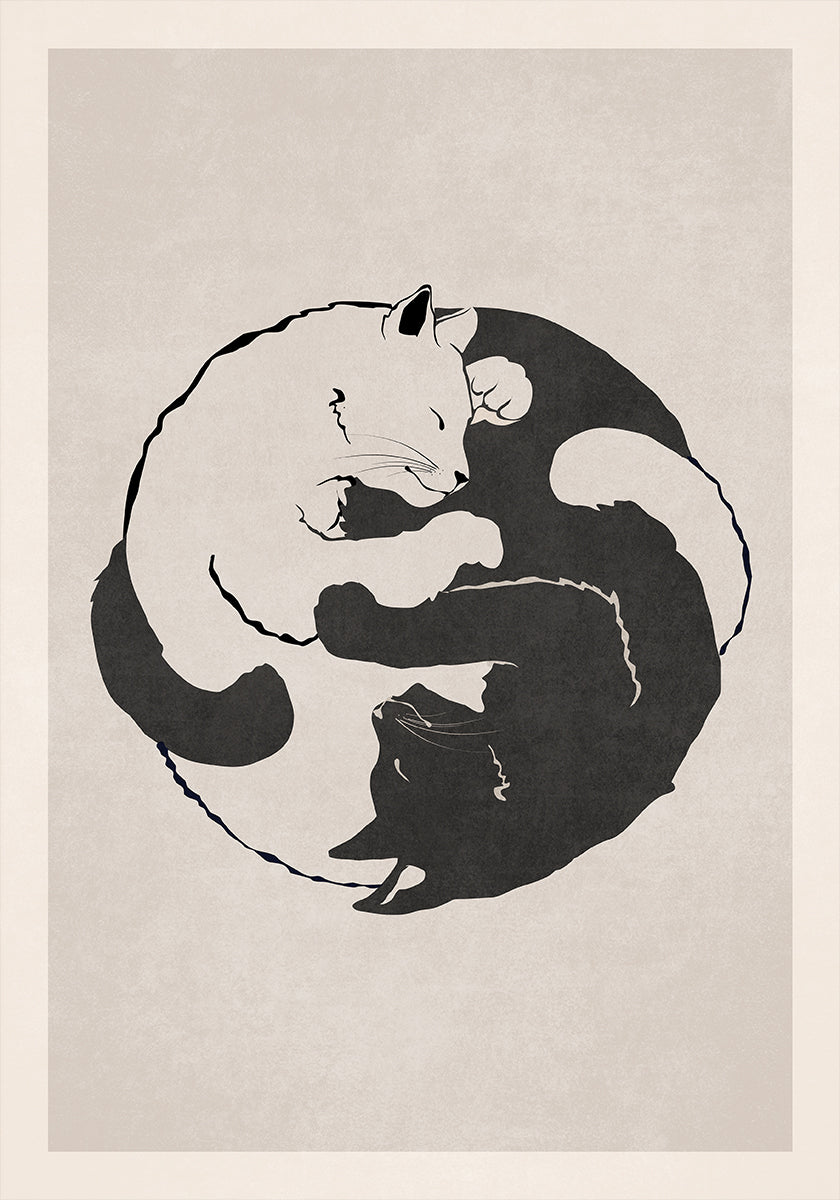 Feline Harmony Poster