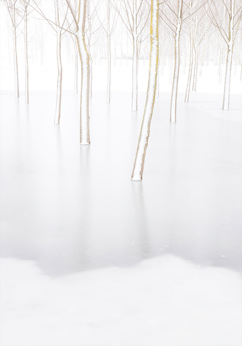 Winter Reflection Poster