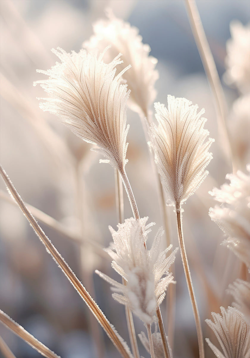 Matētais elegances plakāts