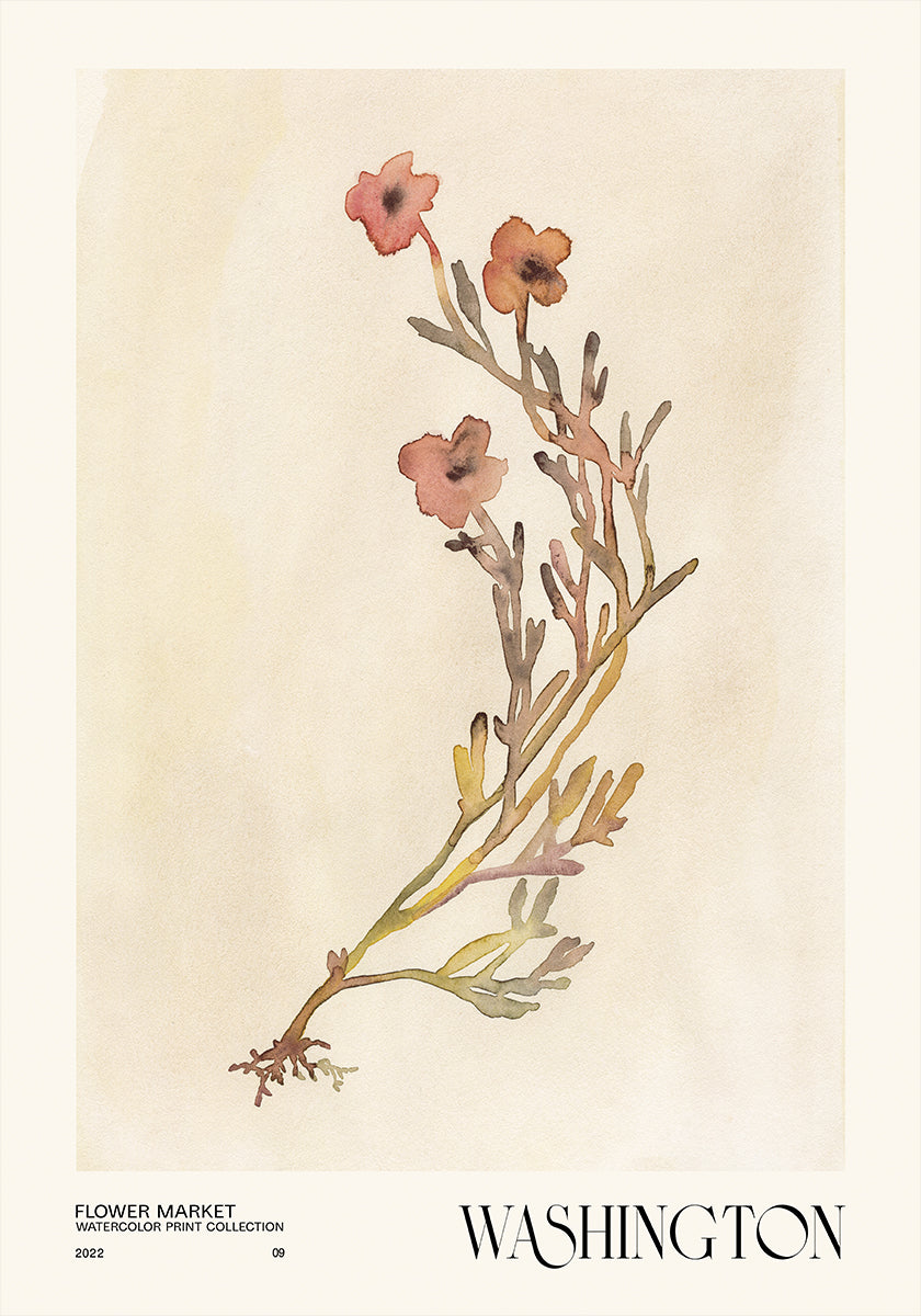 Aquarell Dréck Kollektioun. Blummemaart - Washington