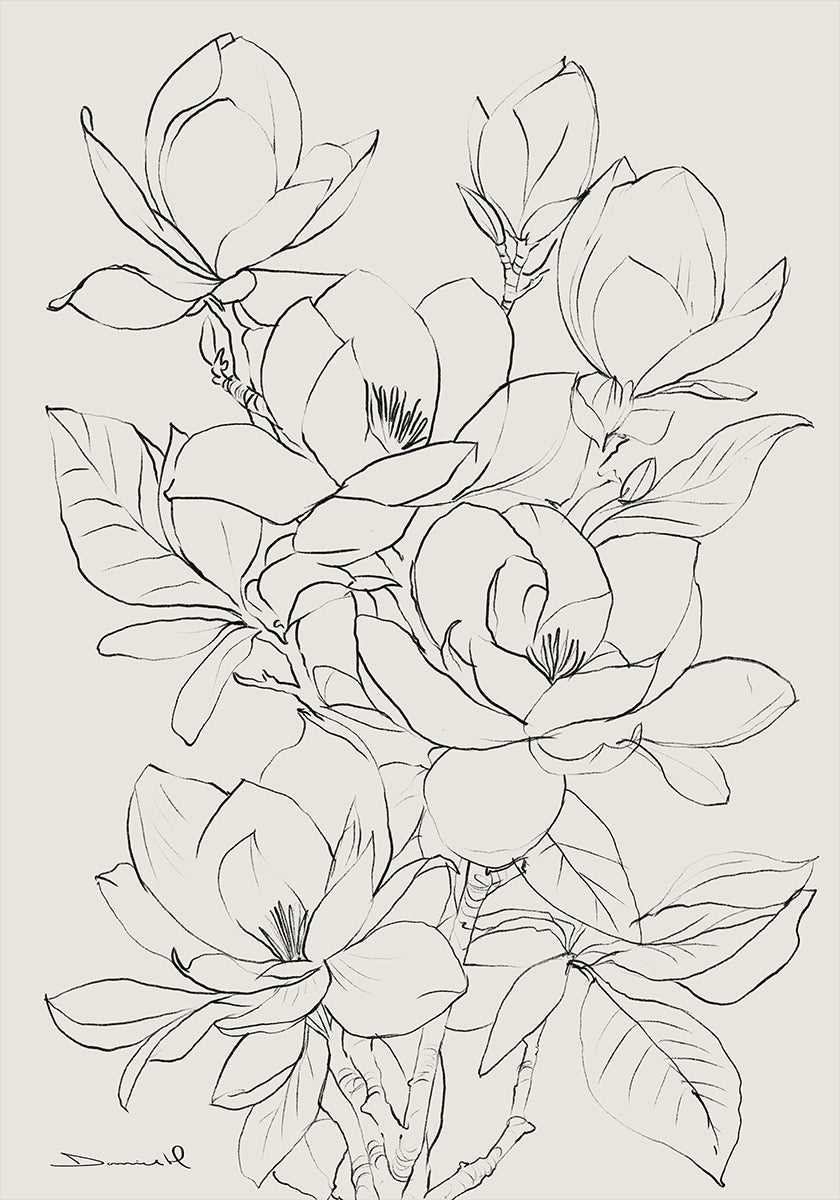 Arborele Magnolia
