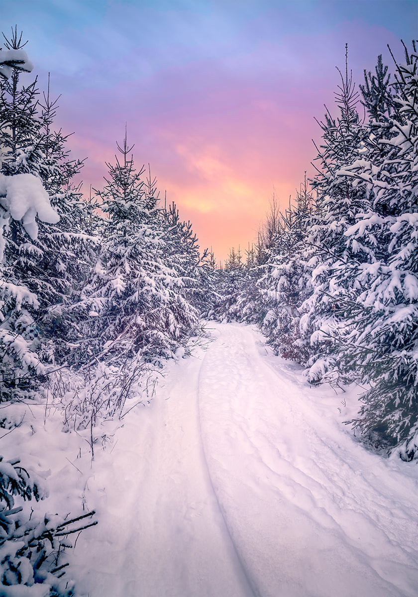 Kalėdų jausmo plakatas