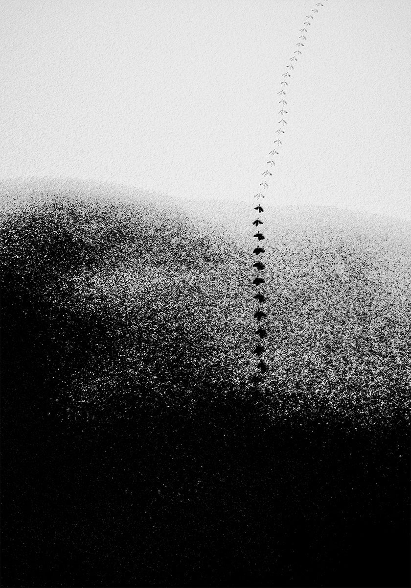 Pēdas sniegā Plakāts