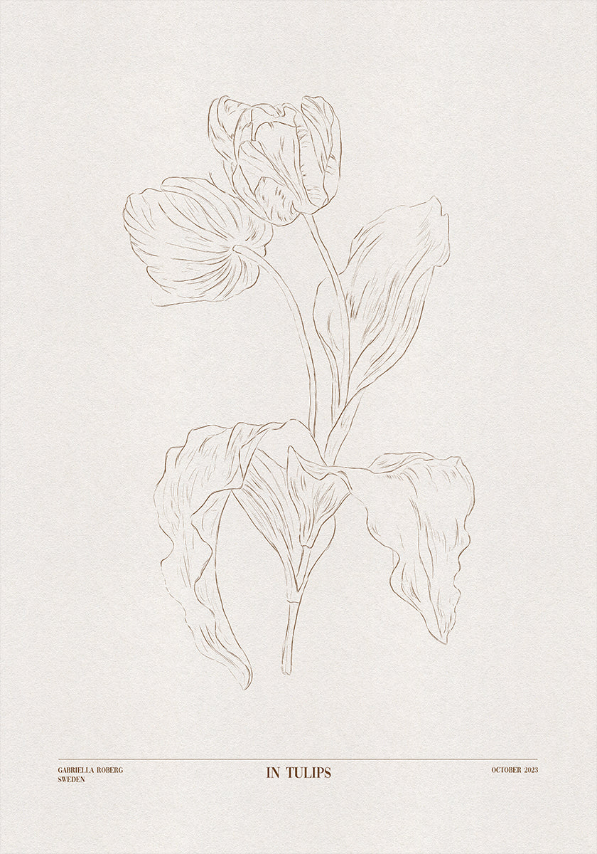 Tulpides (pruun)