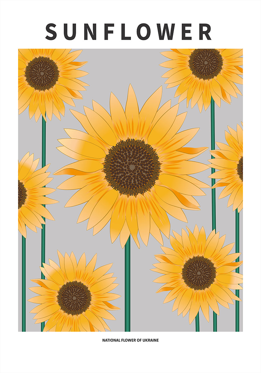 Sunflower - National flower and Ukraine Poster