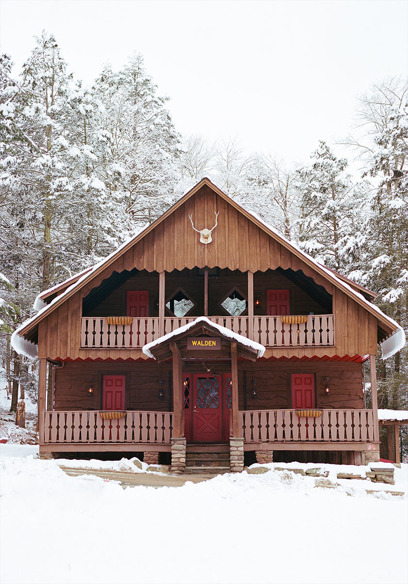 Ņujorkas štata Snow XI plakāts