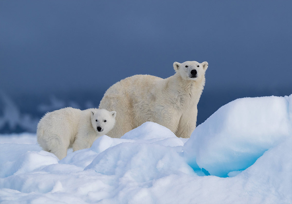 Anya és baba poszter