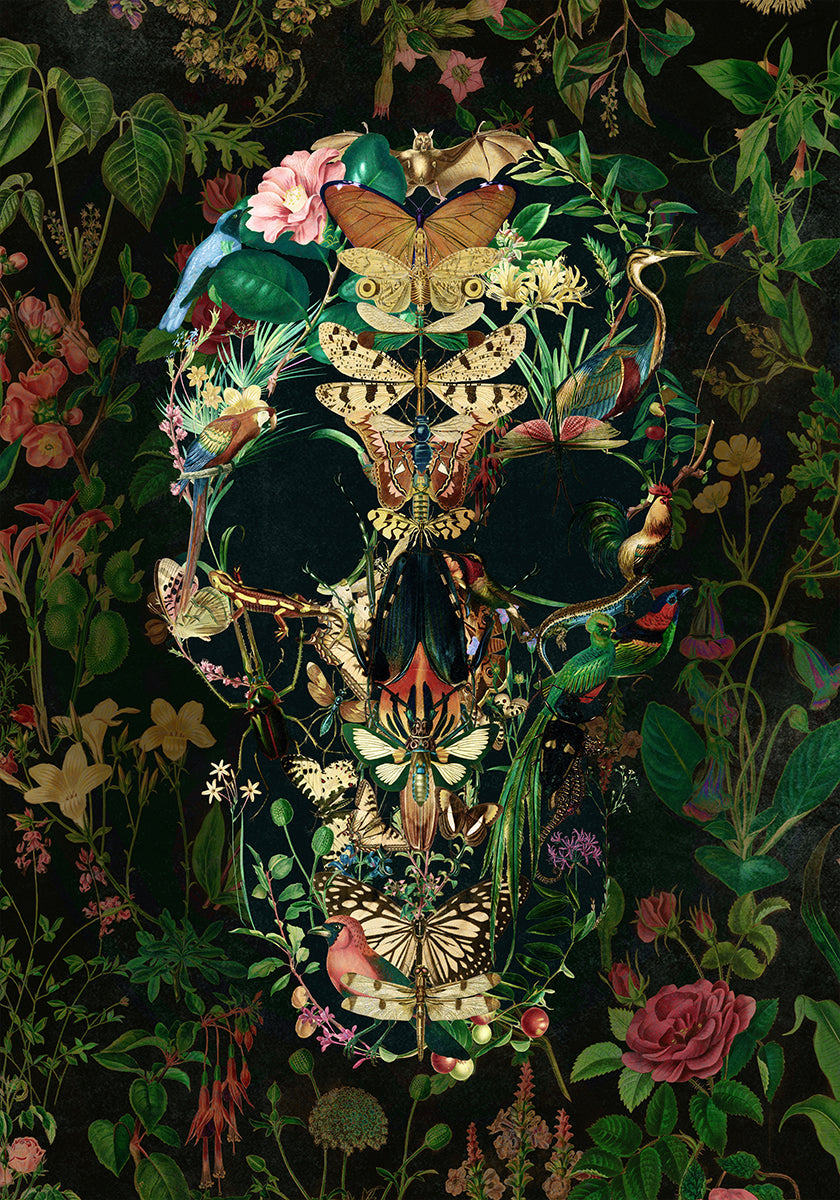 Poster Craniu Papillon