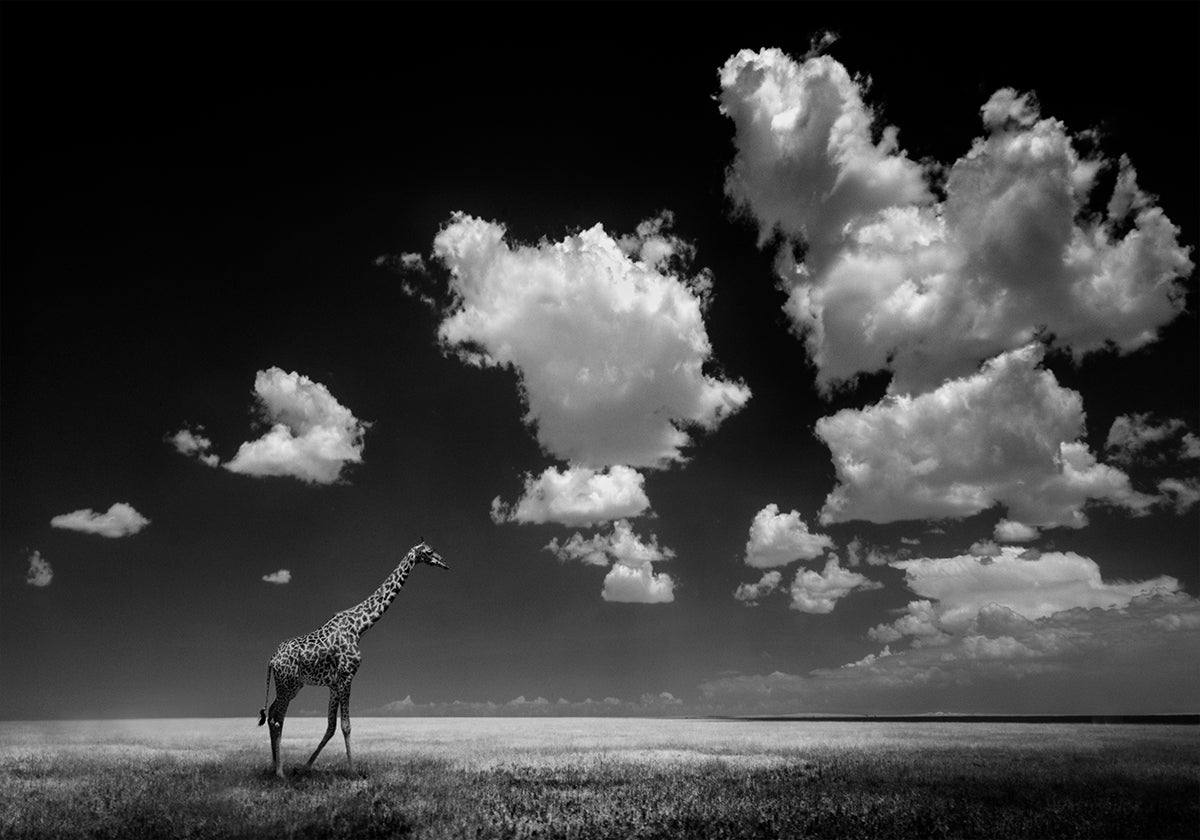 Gone with the Clouds