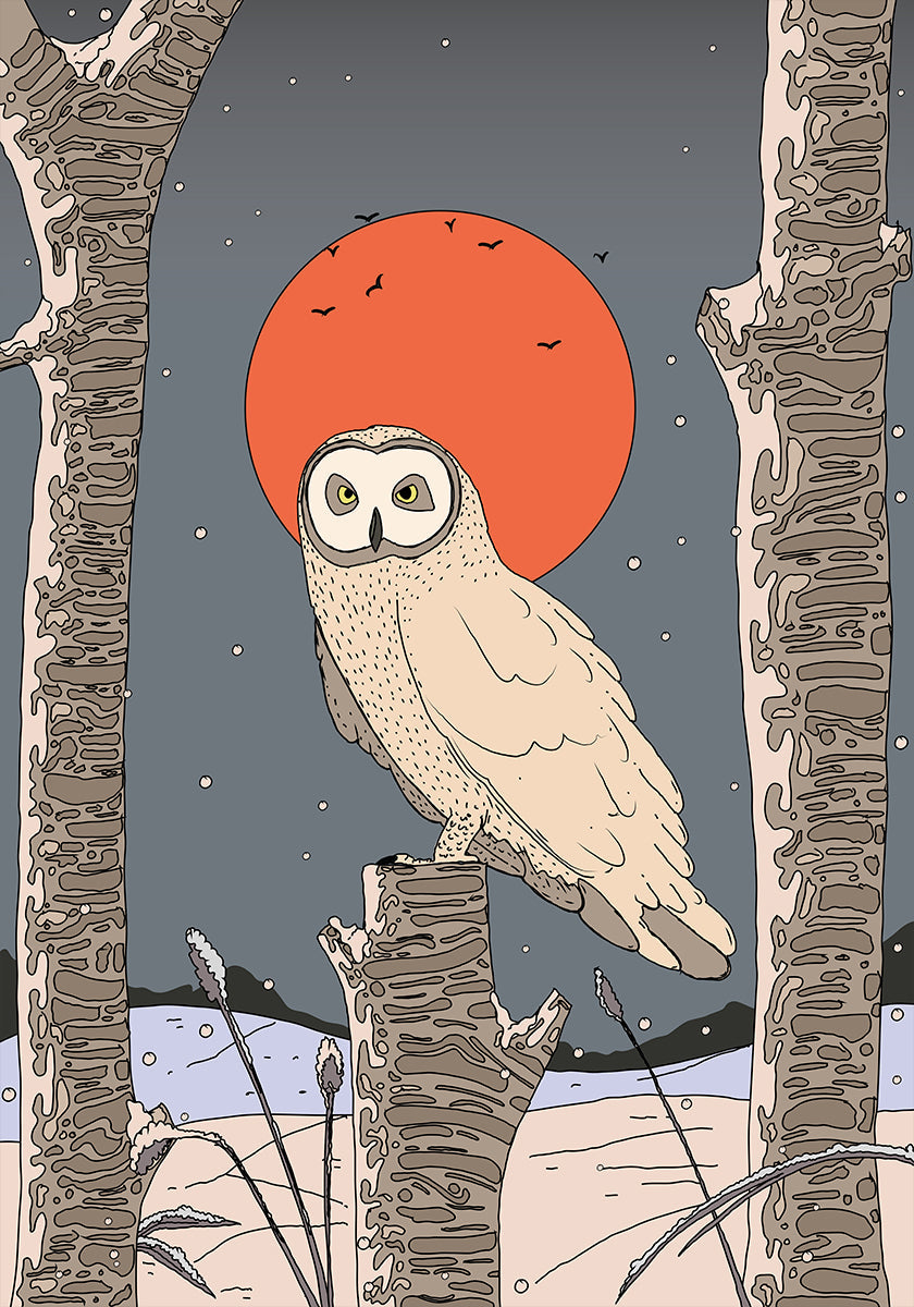 Vintage plagát sova