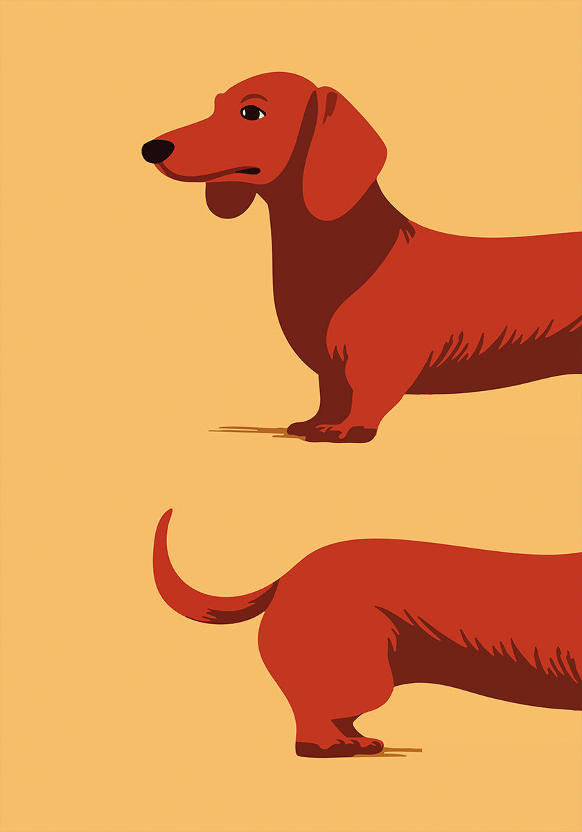 Dachshund Poster