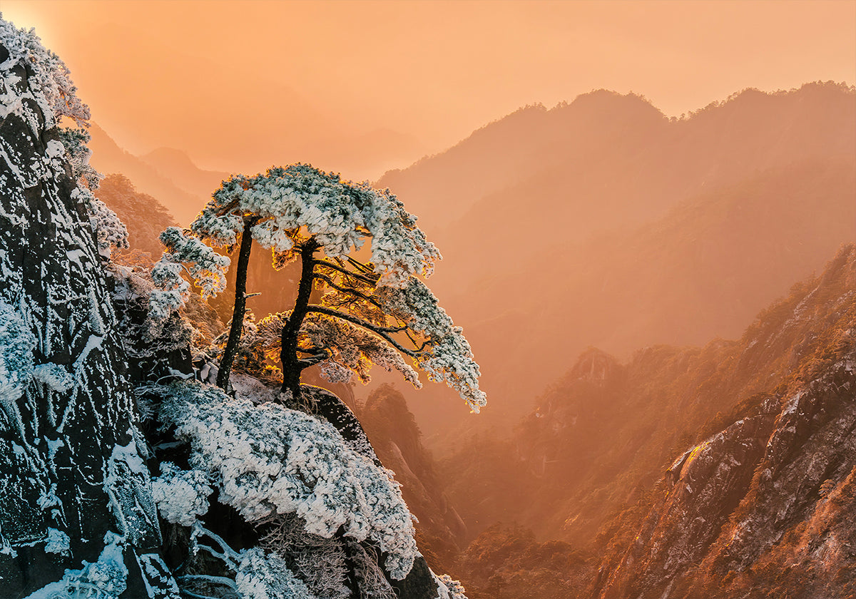 Resilienz am Rande Poster