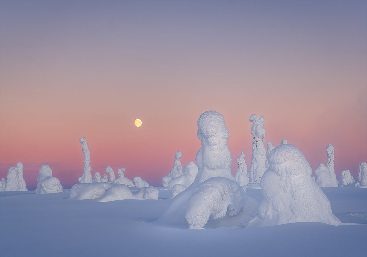 Šekspyro dramos plakatas