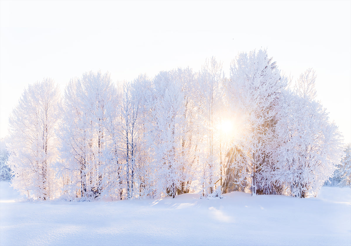 A fény visszatér Poszter