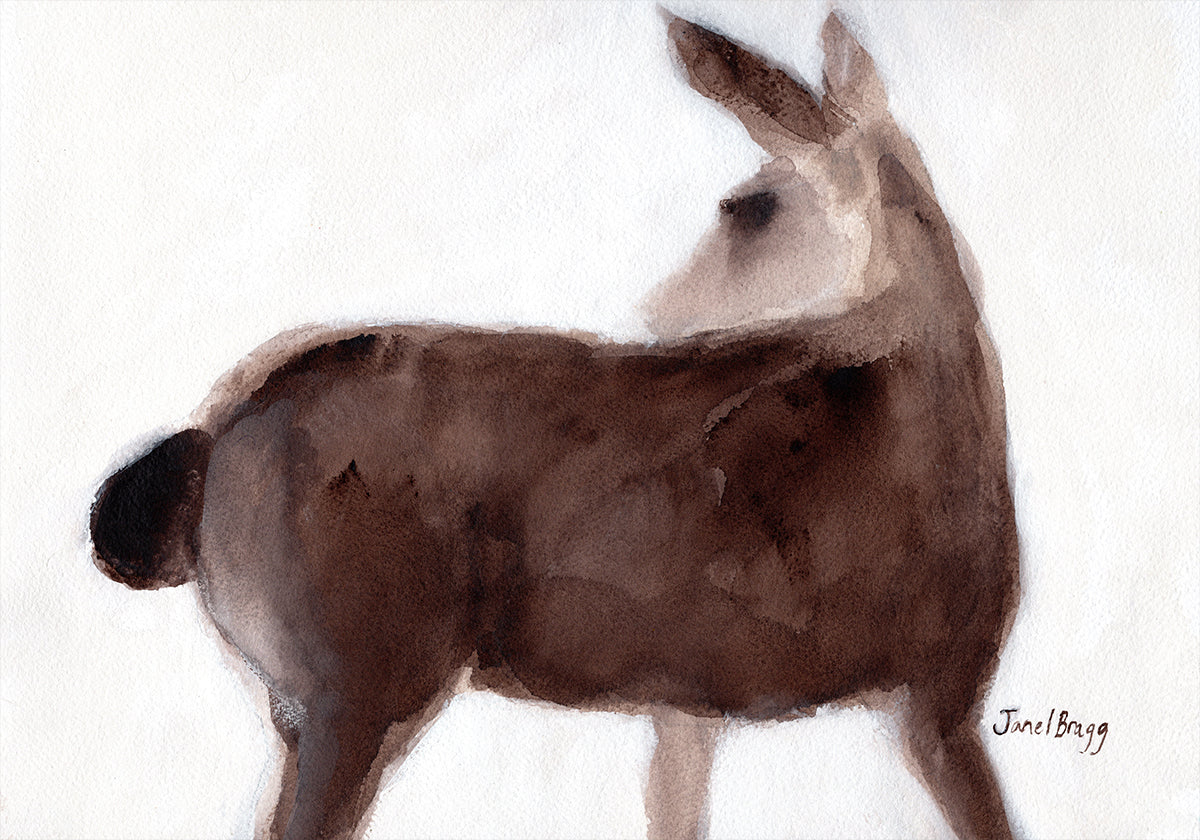 Poster Deer On Creekside Lane