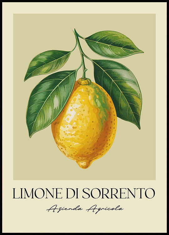 Limone Di Sorrento (NEW) - Posterbox