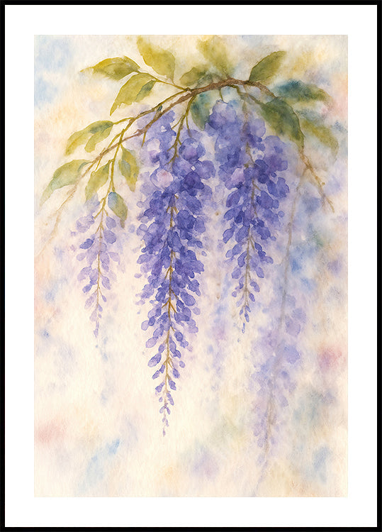 Hanging Wisteria In Soft Pastel Colours Plakat - Posterbox