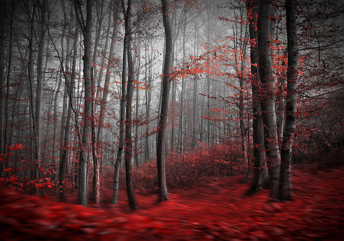 Bloody River plakatas