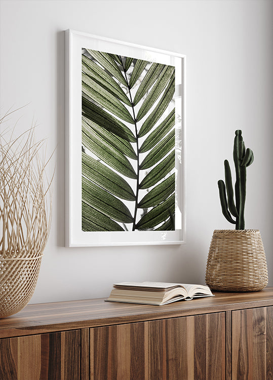 Palm Leaves 24 (NEW) - Posterbox