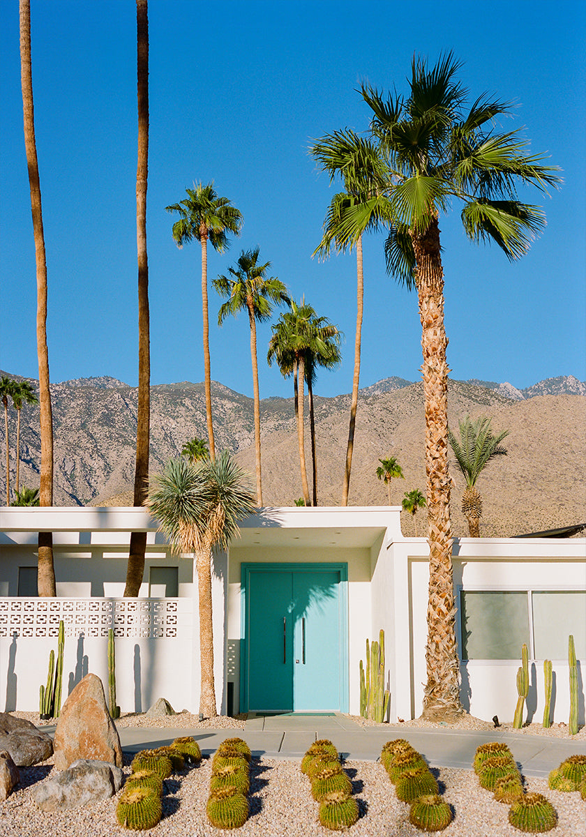 Palm Springs Architecture VII on Film (NEW) - Posterbox