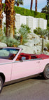 Palm Springs Ride II (NEW) - Posterbox