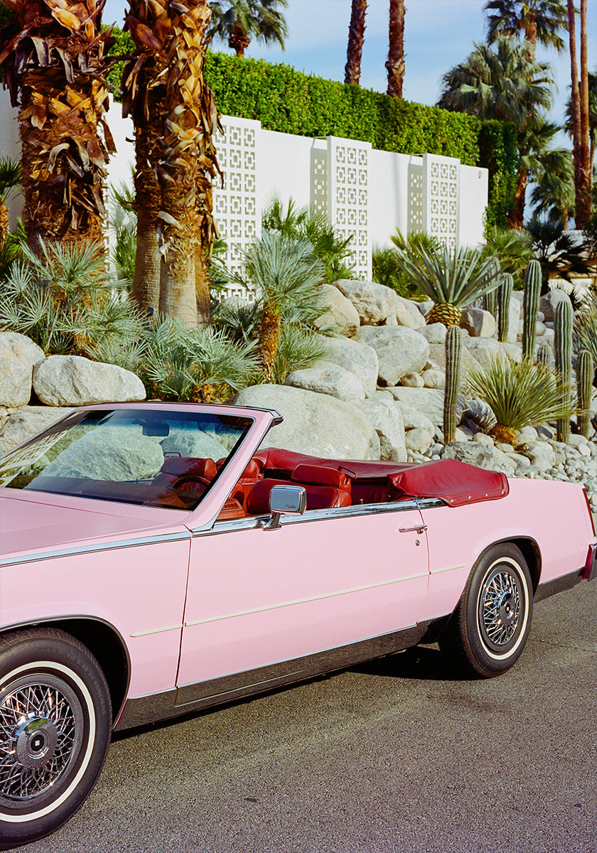 Palm Springs Ride II (NEW) - Posterbox