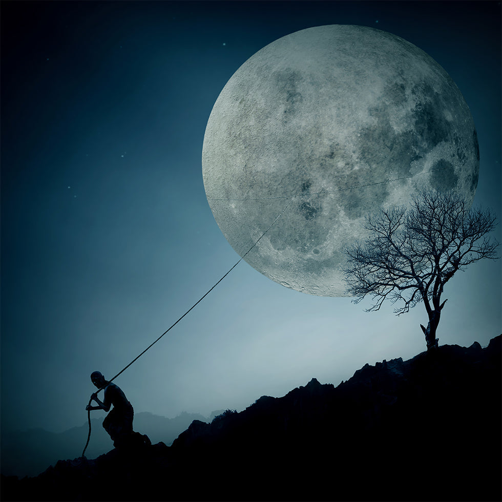 the Dreamer Poster
