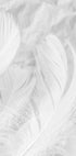 Soft Feather Plakat - Posterbox.no