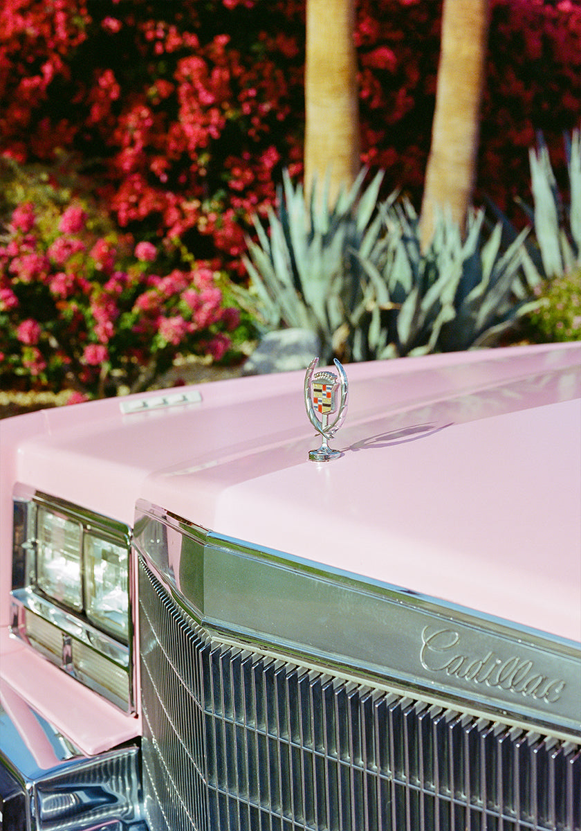 Palm Springs Ride III (NEW) - Posterbox