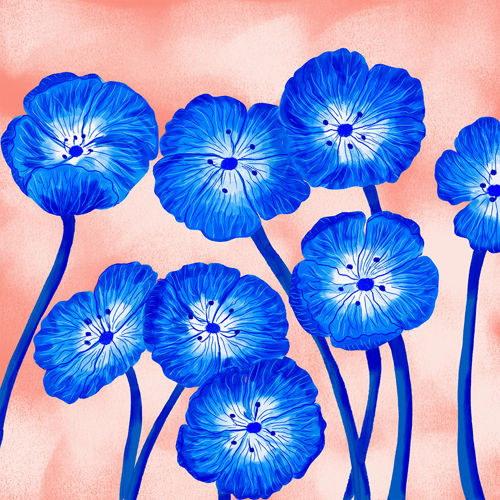 Indigo Blooms (NEW) - Posterbox